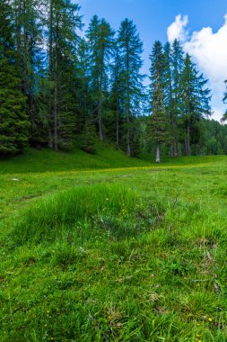 Sorapis Gölü ve yeşil İskoçya, İtalya