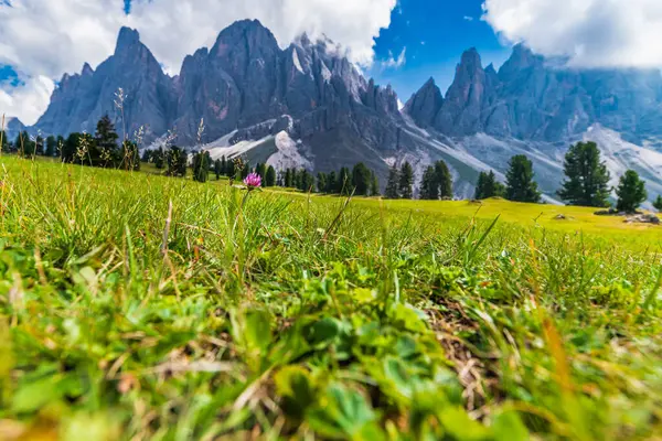 Letni Krajobraz Dolinie Val Funes Santa Maddalena Village Region Trentino — Zdjęcie stockowe