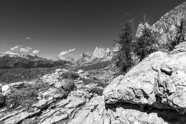 Foto Preto Branco Natureza Nas Montanhas Parque Nacional Caminhadas Dolomitas — Fotografia de Stock