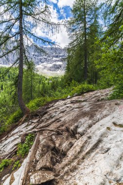 Sorapis Gölü ve yeşil İskoçya, İtalya