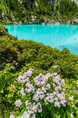 Sorapis Gölü ve yeşil İskoçya, İtalya