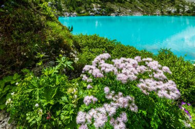 Sorapis Gölü ve yeşil İskoçya, İtalya