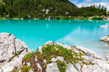 Sorapis Gölü ve yeşil İskoçya, İtalya