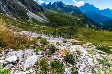 Yaz doğası, dağ manzarası, Dolomitler Alp Dağları.