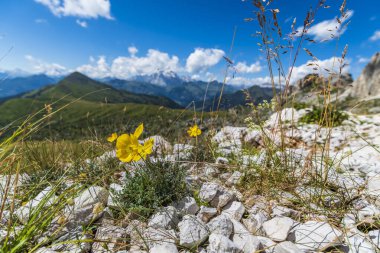 Yaz doğası, dağ manzarası, Dolomitler Alp Dağları.