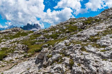 Yaz doğası, dağ manzarası, Dolomitler Alp Dağları.