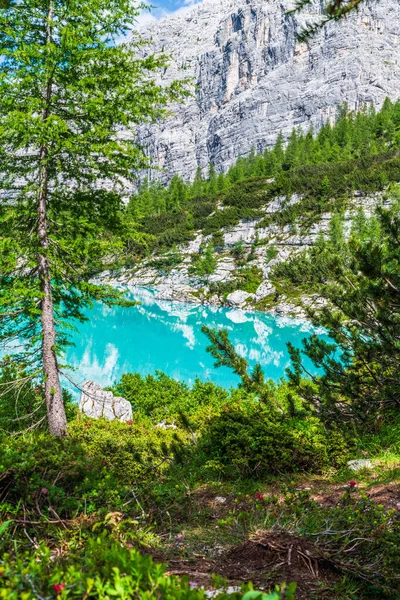 Lake Sorapis Green Highland Ιταλία — Φωτογραφία Αρχείου