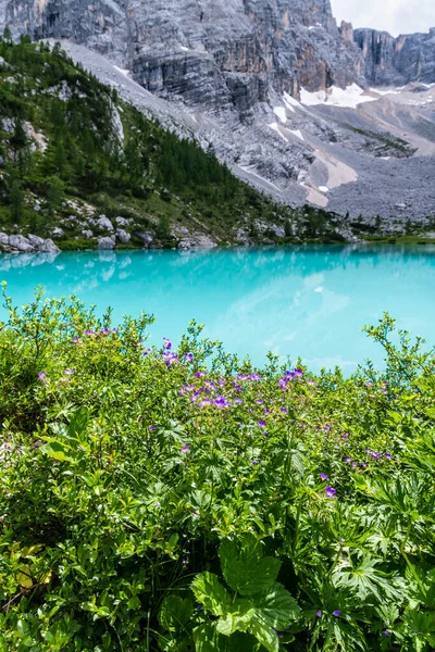 Lake Sorapis Green Highland Italy — Stock Photo, Image