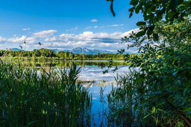 İtalya, Friuli-Venezia Giulia, Udine Bölgesi, Ragogna, Tagliamento Nehri, Ragogna Dağı.