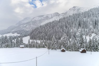 İtalya 'da kış aylarında Sappada manzarası 