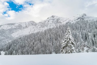 İtalya 'da kış aylarında Sappada manzarası 