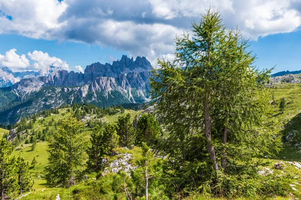 高山中的大自然 国家公园 爬山的白云山 — 图库照片