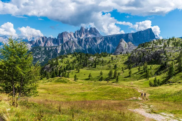 緑の高地の景色 イタリア — ストック写真