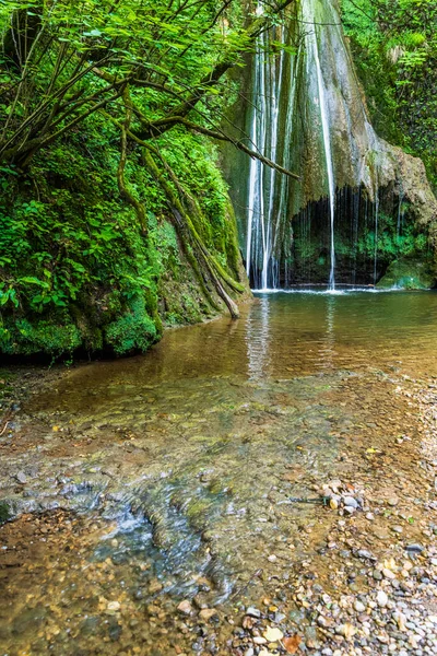 Talya Ragogna Daki Orman Gölünün Muhteşem Manzarası — Stok fotoğraf