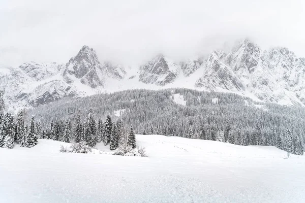 意大利Sappada镇冬季景观 — 图库照片