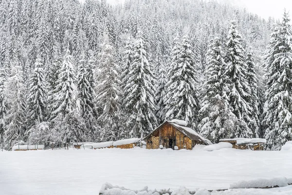İtalya 'da kış boyunca Sappada şehir manzarası 
