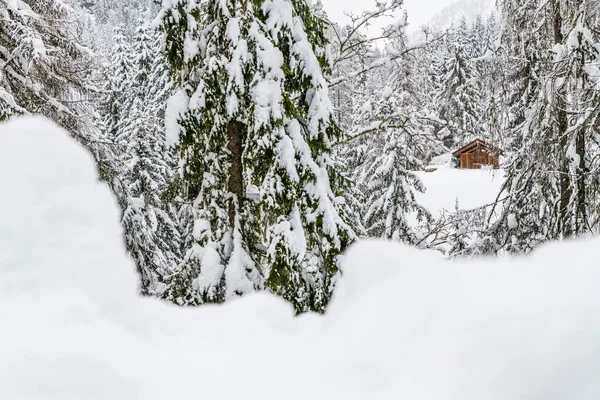 Sappada Vista Sulla Città Durante Inverno Italia — Foto Stock