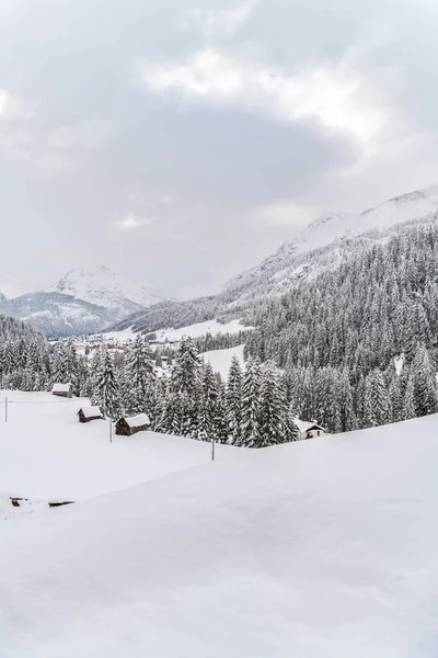 Sappada Utsikt Vintern Italien — Stockfoto