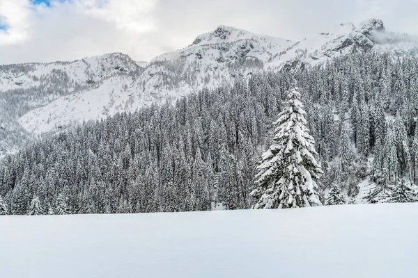 Widok Sappada Okresie Zimowym Włochy — Zdjęcie stockowe