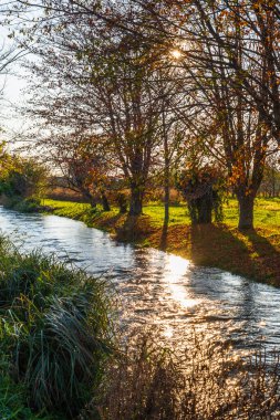 Reana del Rojale manzaralı, Udine ili, İtalya