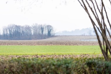 Nebbia Cassacco kırsal alanı, İtalya