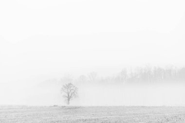 Nebbia Cassacco kırsal alanı, İtalya