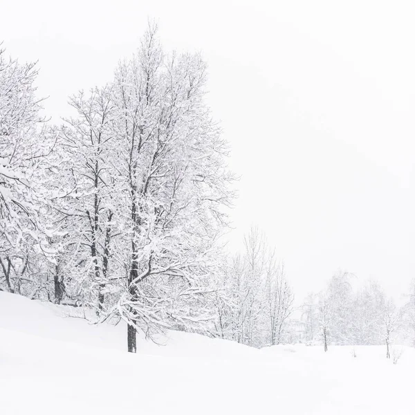 Brunico Cityscape Winter Italy — Stock Photo, Image
