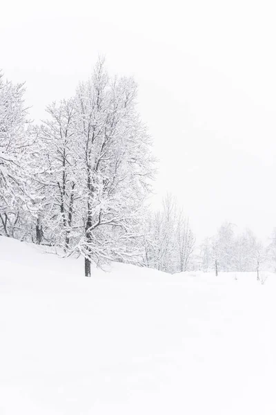 Brunico Cityscape Winter Italy — Stock Photo, Image