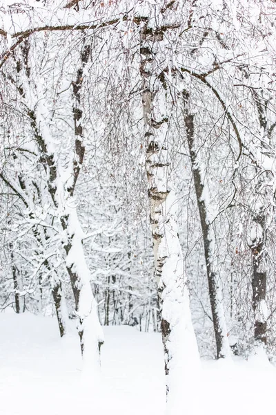 Krajobraz Miejski Brunico Zimą Włochy — Zdjęcie stockowe