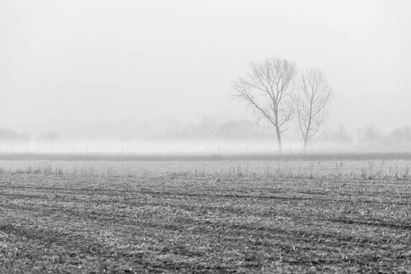 Nebbia Cassacco rural scene, Italy