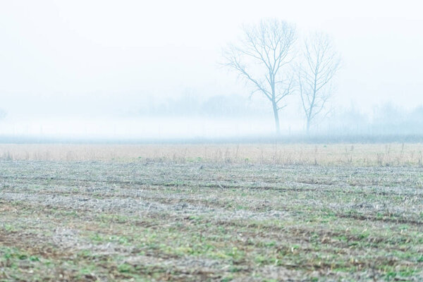 Nebbia Cassacco rural scene, Italy