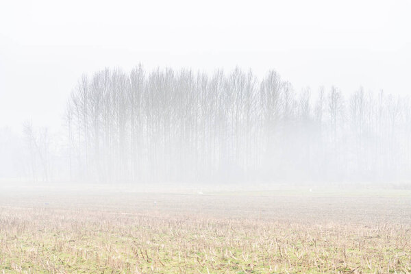 Nebbia Cassacco rural scene, Italy