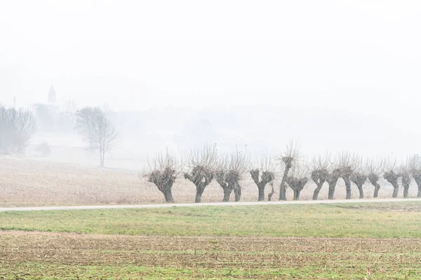 Nebbia Cassacco Rural Scene Italia —  Fotos de Stock