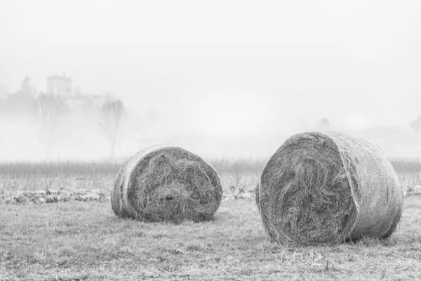 Nebbia Cassacco Scena Rurale Italia — Foto Stock