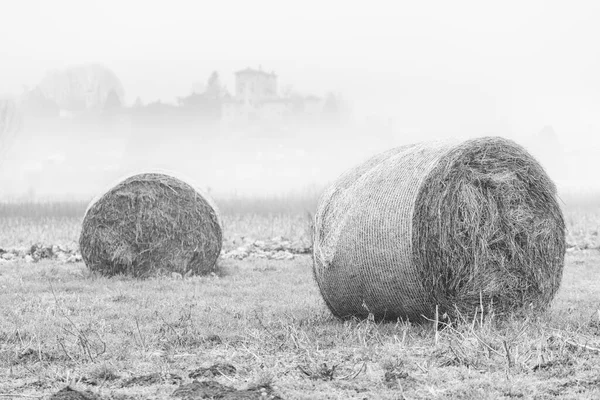 Nebbia Cassacco Scena Rurale Italia — Foto Stock