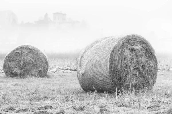 Nebbia Cassacco Scena Rurale Italia — Foto Stock