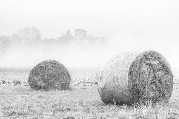 Nebbia Cassacco Scena Rurale Italia — Foto Stock