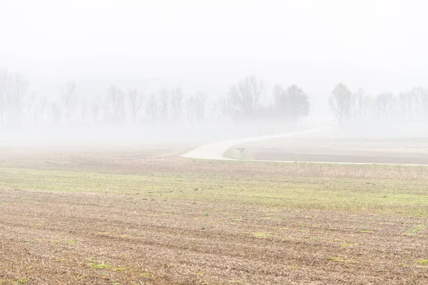 Nebbia Cassacco Αγροτική Σκηνή Ιταλία — Φωτογραφία Αρχείου