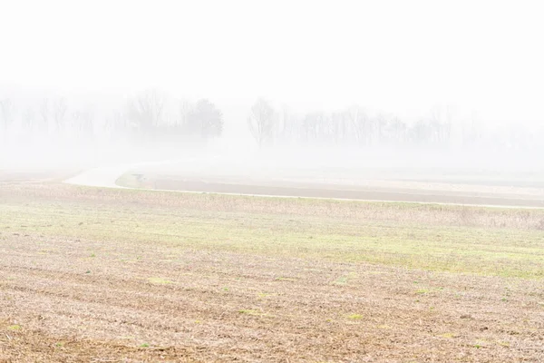 Nebbia Cassacco Cenário Rural Itália — Fotografia de Stock