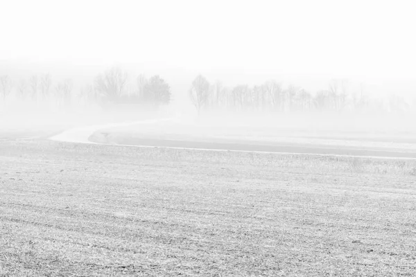 Nebbia Cassacco Scène Rurale Italie — Photo