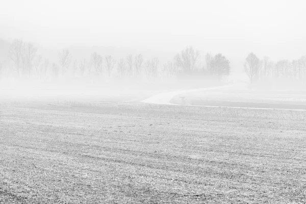 Nebbia Cassacco Cenário Rural Itália — Fotografia de Stock