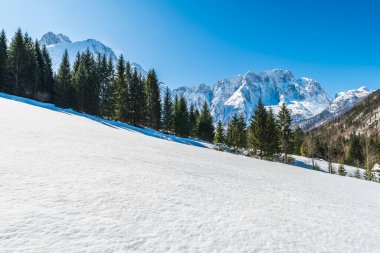 İtalya 'da Saisera Vadisi kış manzarası 