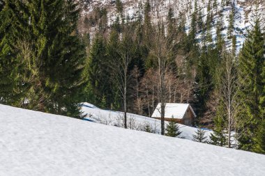 İtalya 'da Saisera Vadisi kış manzarası 