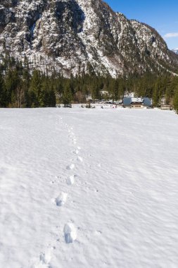 İtalya 'da Saisera Vadisi kış manzarası 