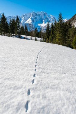 İtalya 'da Saisera Vadisi kış manzarası 