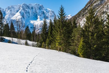 İtalya 'da Saisera Vadisi kış manzarası 