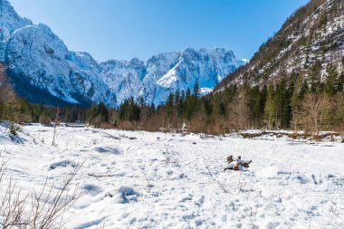 İtalya 'da Saisera Vadisi kış manzarası 