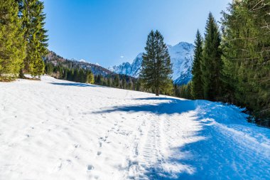 İtalya 'da Saisera Vadisi kış manzarası 