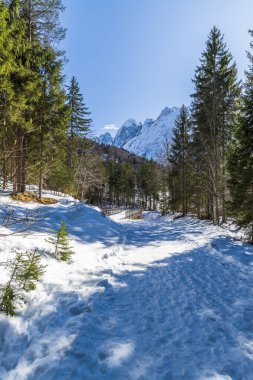 İtalya 'da Saisera Vadisi kış manzarası 