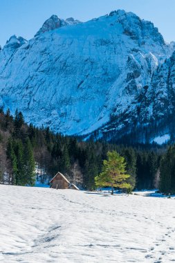 İtalya 'da Saisera Vadisi kış manzarası 
